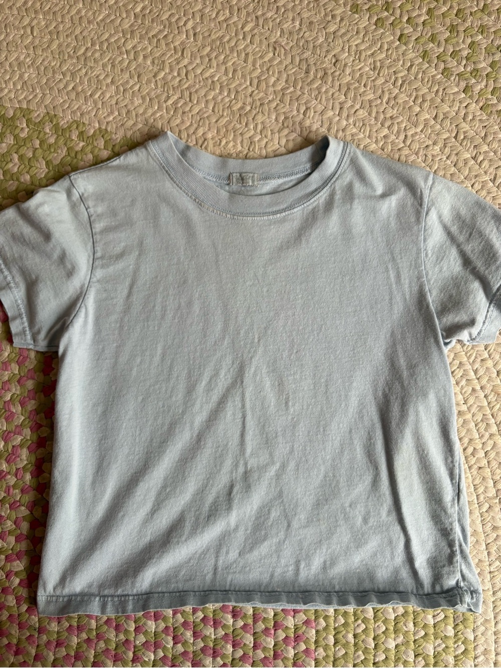 Brandy Melville Light Blue Short Sleeve Crew Tee